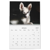 Witte Duitse herders Kalender (Jan 2027)