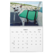 Witte Duitse herders Kalender (Mar 2027)