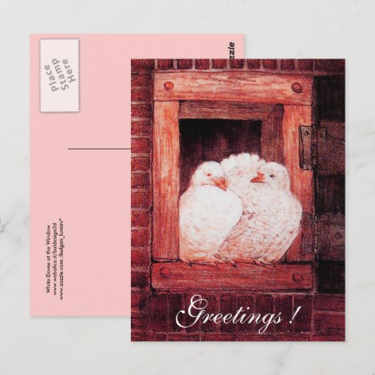 WITTE DUIVEN BIJ HET RAAM rood roze Briefkaart (Voorkant / Achterkant)