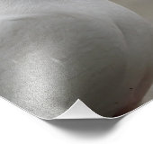 Witte duiven Fotouitbreiding Foto Afdruk (Hoek)