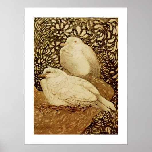 WITTE DUIVEN IN BRUINE SEPIA POSTER (Voorkant)