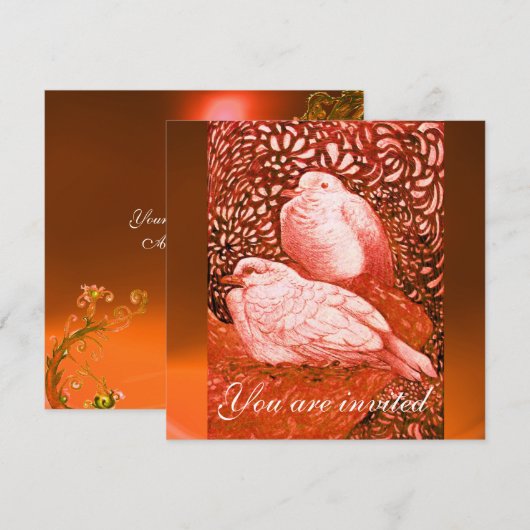 WITTE DUIVEN IN ROOD ORANJE KAART (Voorkant / Achterkant)