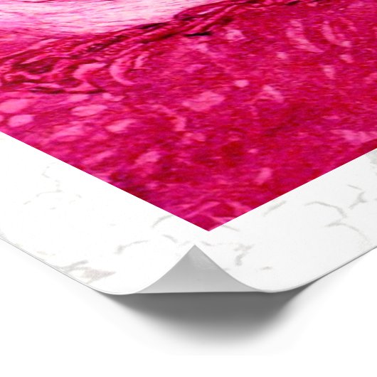 WITTE DUIVEN IN ROZE FUCHSIA POSTER (Hoek)