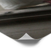 Witte duiven Poster (Hoek)