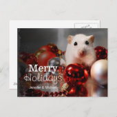 Witte dwerghamster Pompon Feestdagenkaart (Voorkant / Achterkant)