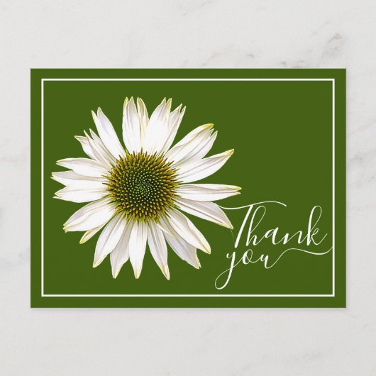 Witte Echinacea Groene Achtergrond Dank Je Briefkaart (Voorkant)