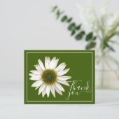 Witte Echinacea Groene Achtergrond Dank U Briefkaart (Staand voorkant)