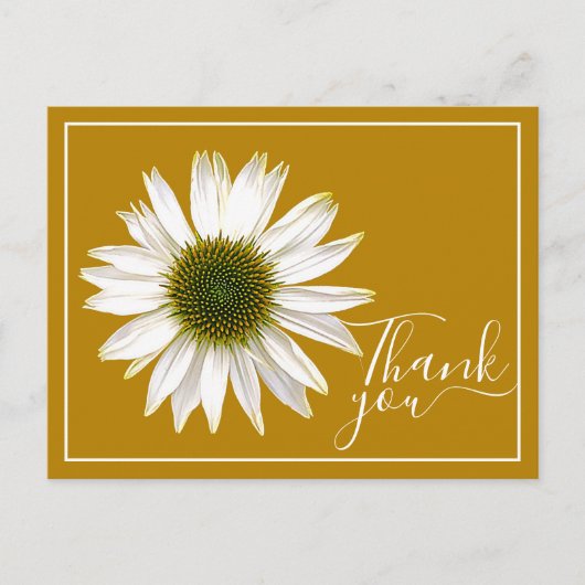 Witte Echinacea Mosterd Achtergrond Bedankt Briefkaart (Voorkant)