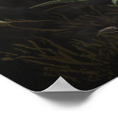 Witte Edelweiss Bloemen Art Print Poster (Hoek)