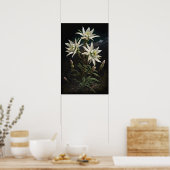 Witte Edelweiss Bloemen Art Print Poster (Keuken)