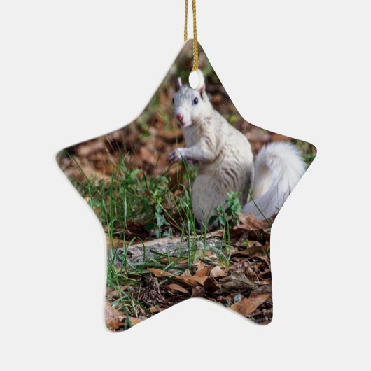 Witte eekhoorn Brevard Keramisch Ornament (Rechts)