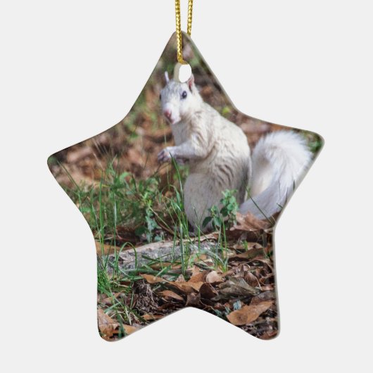 Witte eekhoorn Brevard Keramisch Ornament (Links)