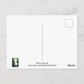 Witte eekhoorn briefkaart (Achterkant)