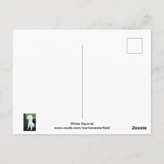Witte eekhoorn briefkaart (Achterkant)