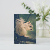 Witte eekhoorn briefkaart (Staand voorkant)