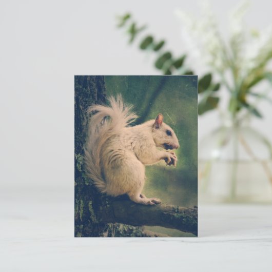 Witte eekhoorn briefkaart (Staand voorkant)