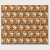 Witte eekhoorn die een eikel vasthoudt cadeaupapier (Vlak)