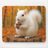 Witte eekhoorn die een eikel vasthoudt muismat (Voorkant)