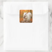 Witte eekhoorn die een eikel vasthoudt vierkante sticker (Tas)