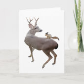 Witte eekhoorn op bankkaart kaart (Voorkant)