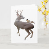 Witte eekhoorn op bankkaart kaart (Gele Bloem)