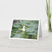 Witte eend in Lily Pond Kaart (Voorkant)