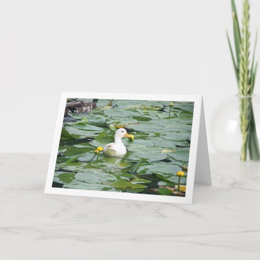 Witte eend in Lily Pond Kaart (Voorkant)