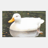 Witte eend Stickers (Voorkant)