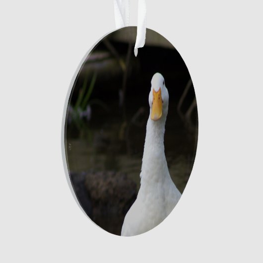 Witte Eend Versiering  Ornament (voorkant)