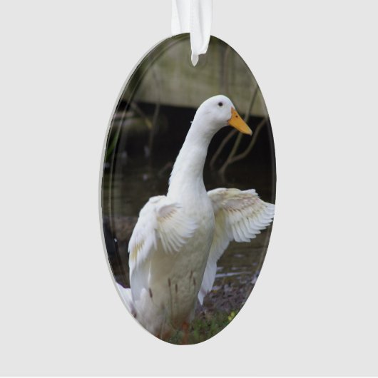 Witte Eend Versiering  Ornament (voorkant)