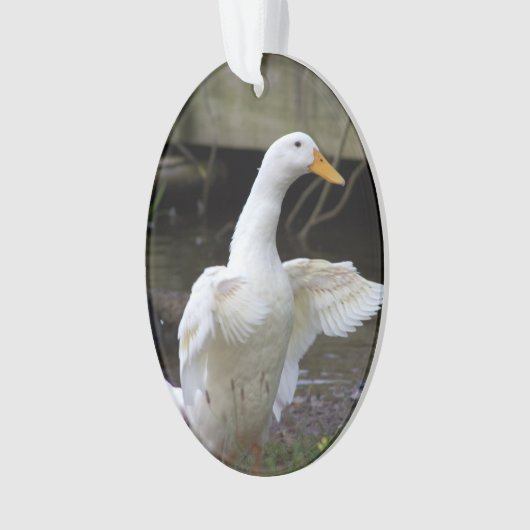 Witte Eend Versiering Ornament (voorkant)