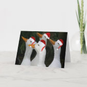 Witte eenden dragen rode kerstmutsen grappig feestdagen kaart (Voorkant)