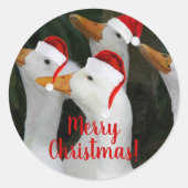 Witte eenden dragen rode kerstmutsen vakantie ronde sticker (Voorkant)