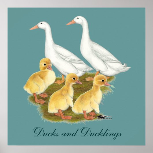 Witte eenden en eendjes poster (Voorkant)