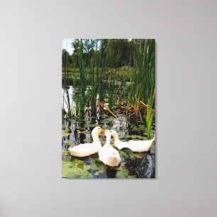 Witte eenden, lendenkussens, cattails, meeroever canvas afdruk