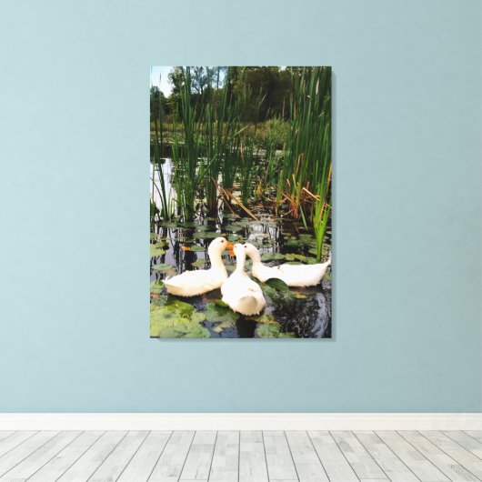 Witte eenden, lendenkussens, cattails, meeroever canvas afdruk (Insitu (Houten vloer))