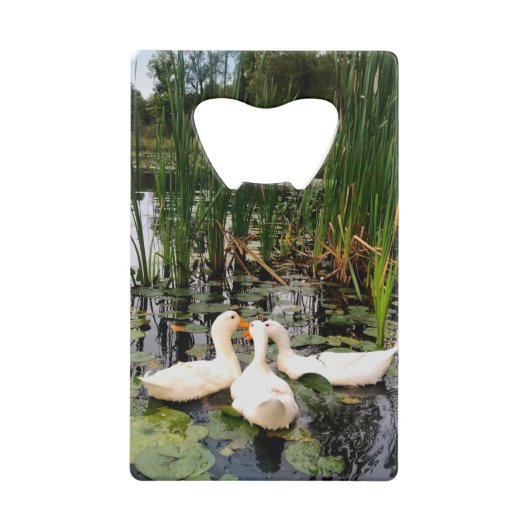 Witte eenden, lendenkussens, cattails, meeroever creditkaart flessenopener (Voorkant)
