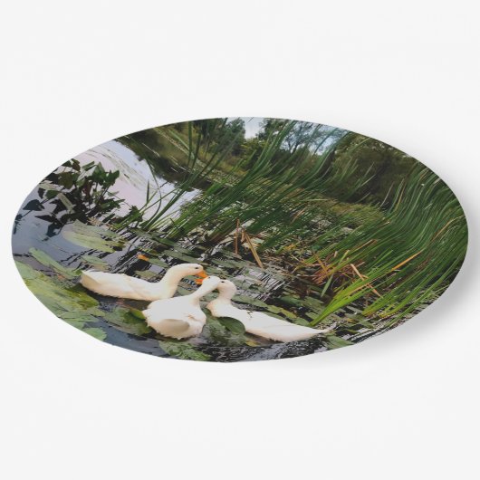 Witte eenden, lendenkussens, cattails, meeroever papieren bordje (Gekanteld)