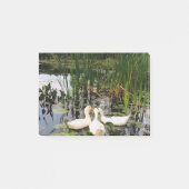 Witte eenden, lendenkussens, cattails, meeroever post-it® notes (Voorkant)