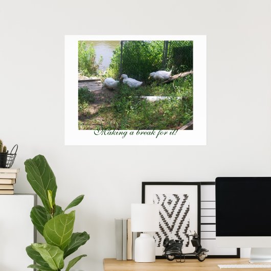 Witte eenden op een raap Poster (Thuiskantoor)