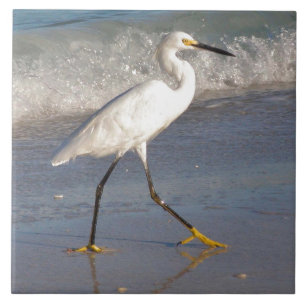 Witte Egret Tegel Tegeltje