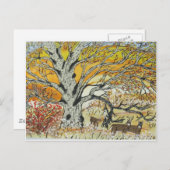 Witte eik en Whitetails Briefkaart (Voorkant / Achterkant)