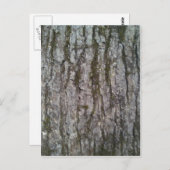 Witte eiken boomschors briefkaart (Voorkant / Achterkant)
