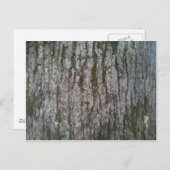Witte eiken boomschors briefkaart (Voorkant / Achterkant)