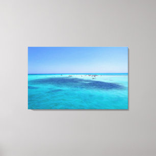 Witte eiland in het Rode Zee Canvas Afdruk