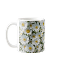 Witte elegante madeliefjes