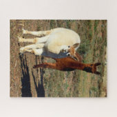 Witte en bruine jonge alpacas, legpuzzel (Horizontaal)