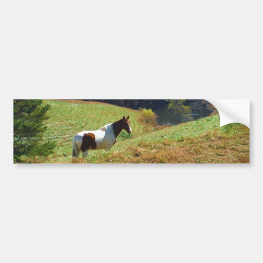 Witte en bruine paarden, Autumn vijver Bumpersticker (Voorkant)
