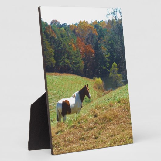 Witte en bruine paarden, Autumn vijver Fotoplaat (Zijkant)