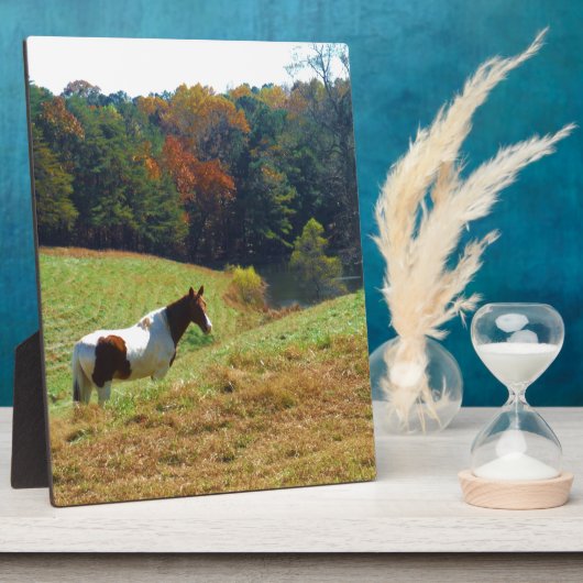 Witte en bruine paarden, Autumn vijver Fotoplaat (Zijkant)